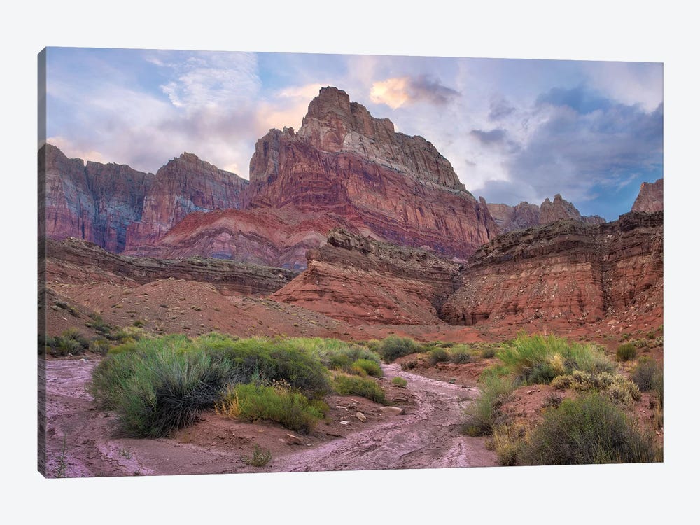 Desert And Cliffs, Vermilion Cliffs National Monument, Arizona by Tim Fitzharris 1-piece Canvas Art Print