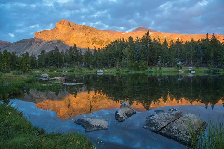 Mountain Reflected In Alpine Lake, Mount Dana, Tioga Pass, Sierra Nevada, Yosemite National Park, California