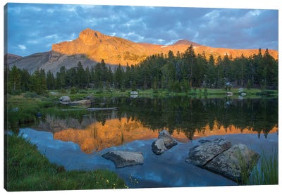 Mountain Reflected In Alpine Lake, Mount Dana, Tioga Pass, Sierra Nevada, Yosemite National Park, California Canvas Art Print - Yosemite National Park Art
