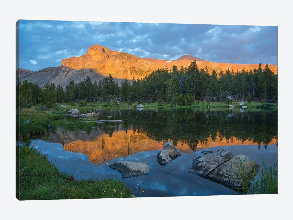 Mountain Reflected In Alpine Lake, Mount Dana, Tioga Pass, Sierra Nevada, Yosemite National Park, California by Tim Fitzharris 1-piece Canvas Artwork