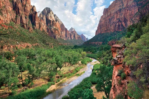 Utah: Looking out into the Zion Canyon and the Virgin River, Zion National Park, Utah by Tim Fitzharris