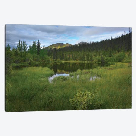 Boreal Forest With Pond And Antimony Mountain In The Background, Ogilvie Mountains, Yukon Territory, Canada Canvas Print #TFI123} by Tim Fitzharris Canvas Art Print