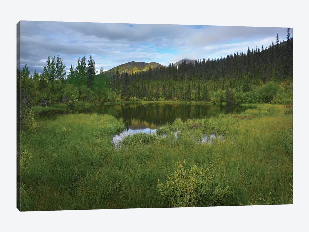Boreal Forest With Pond And Antimony Mountain In The Background, Ogilvie Mountains, Yukon Territory, Canada by Tim Fitzharris 1-piece Canvas Wall Art