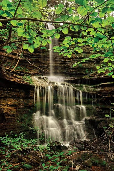 Arkansas: Pearly Creek Falls, Buffalo River Trail, Arkansas by Tim Fitzharris