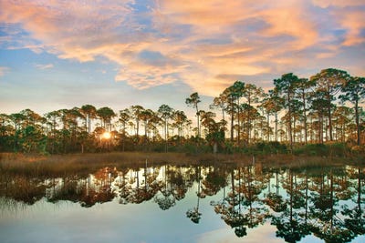Sunrise at St. Joseph Peninsula State Buffer Preserve, Florida by Tim Fitzharris gallery poster