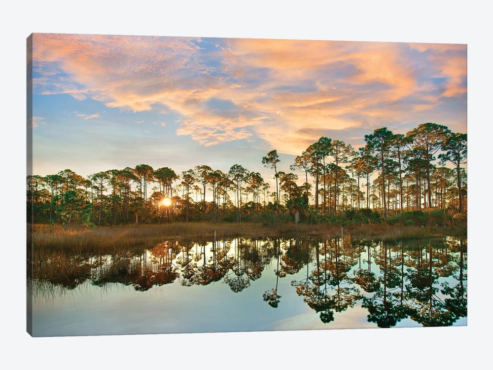 Sunrise at St. Joseph Peninsula State Buffer Preserve, Florida 1-piece Canvas Artwork