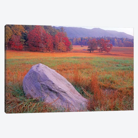 Boulder And Autumn Colored Deciduous Forest, Cades Cove, Great Smoky Mountains National Park, Tennessee Canvas Print #TFI124} by Tim Fitzharris Canvas Artwork