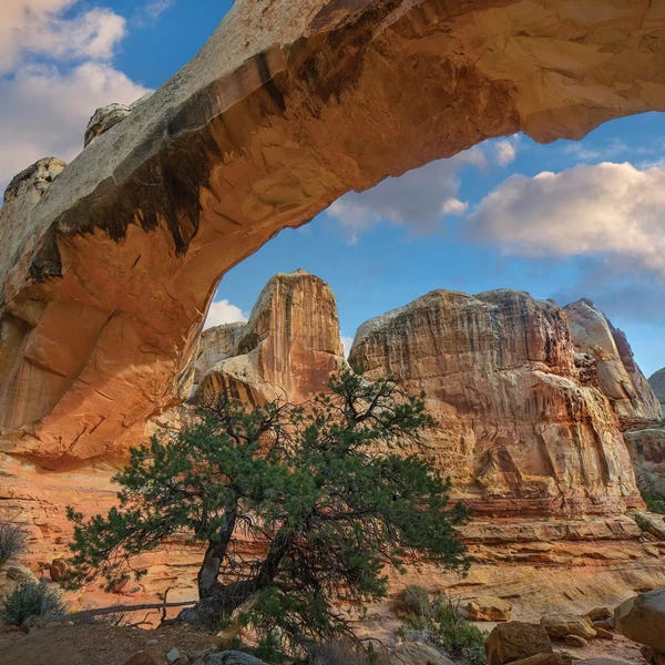 Utah: Arch, Hickman Bridge, Capitol Reef National Park, Utah by Tim Fitzharris
