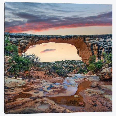 Arch, Owachomo Bridge, Natural Bridges Nm, Utah Canvas Print #TFI1256} by Tim Fitzharris Canvas Art Print