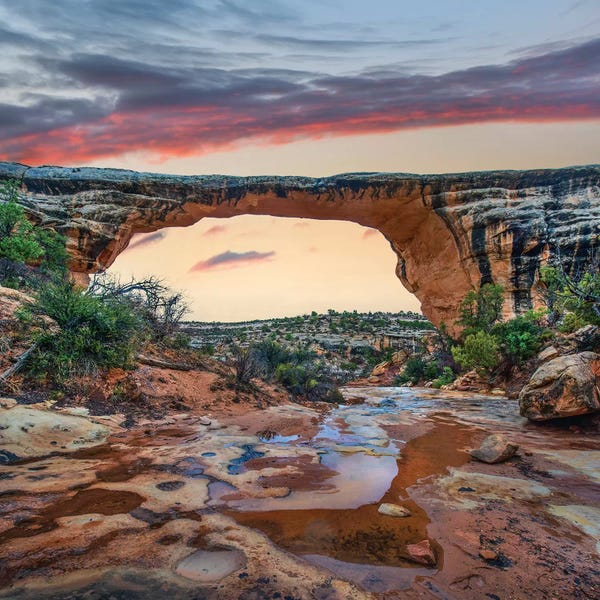 Utah: Arch, Owachomo Bridge, Natural Bridges Nm, Utah by Tim Fitzharris