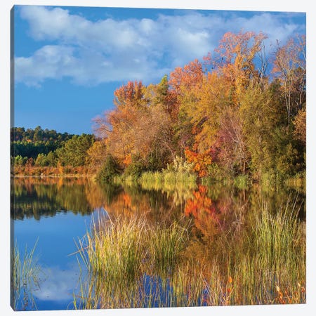 Autumn Along Lake, Tyler State Park, Texas Canvas Print #TFI1257} by Tim Fitzharris Art Print