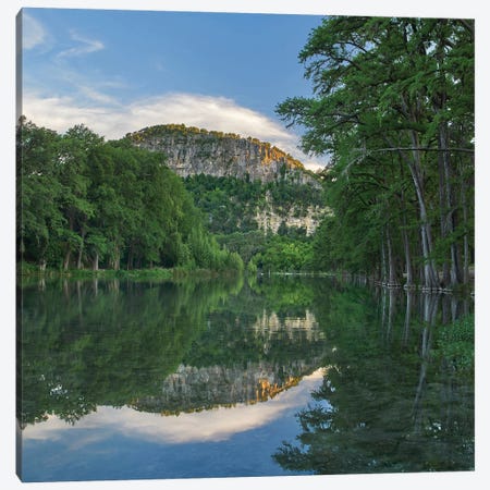 Bald Cypress Trees Along River, Frio River, Old Baldy Mountain, Garner State Park, Texas Canvas Print #TFI1259} by Tim Fitzharris Canvas Artwork