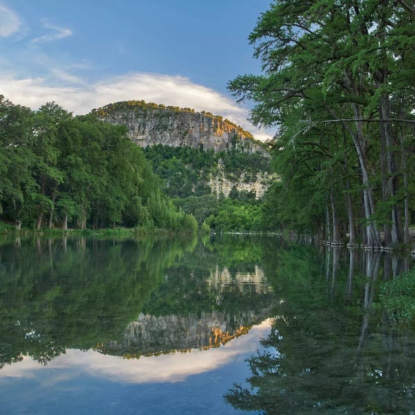 Cliffs: Bald Cypress Trees Along River, Frio River, Old Baldy Mountain, Garner State Park, Texas by Tim Fitzharris