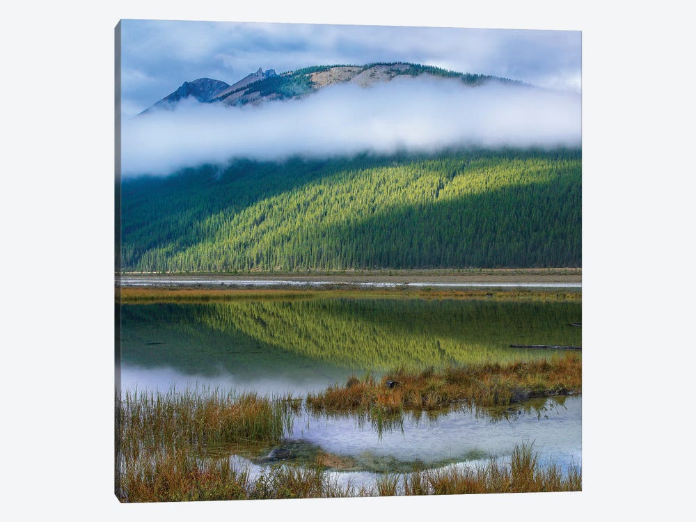 Beauty Creek, Winston Churchill Range, Jasper National Park 1-piece Canvas Print