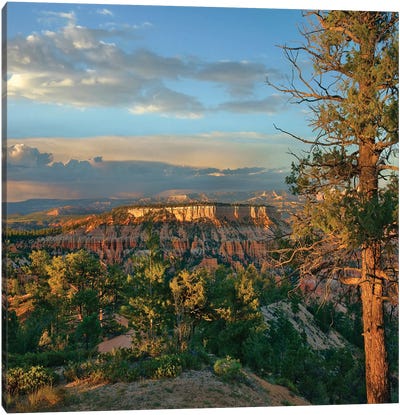Butte, Bryce Canyon National Park, Utah Canvas Art Print - Bryce Canyon National Park Art