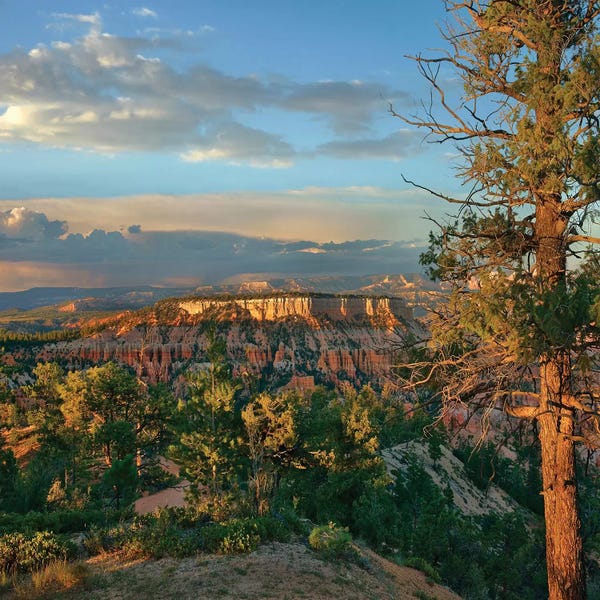 Utah: Butte, Bryce Canyon National Park, Utah by Tim Fitzharris