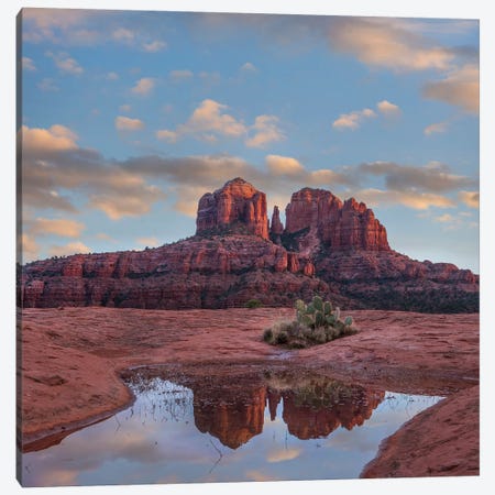 Cathedral Rock Recflection, Coconino National Forest, Near Sedona, Arizona Canvas Print #TFI1278} by Tim Fitzharris Canvas Artwork