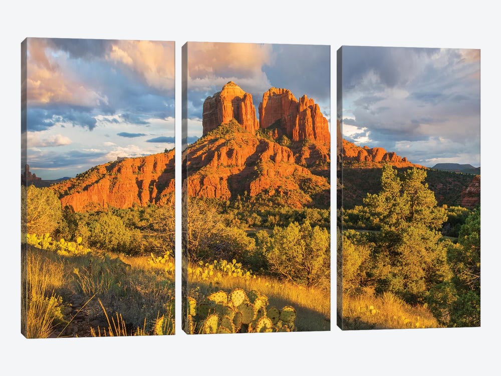 Cathedral Rock, Coconino National Forest, Arizona by Tim Fitzharris 3-piece Canvas Artwork