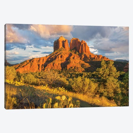 Cathedral Rock, Coconino National Forest, Arizona Canvas Print #TFI1279} by Tim Fitzharris Canvas Wall Art