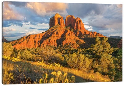 Cathedral Rock, Coconino National Forest, Arizona Canvas Art Print - Rock Art