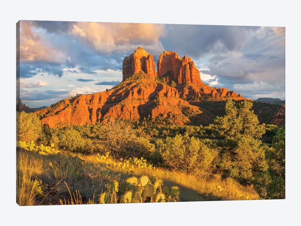 Cathedral Rock, Coconino National Forest, Arizona by Tim Fitzharris 1-piece Canvas Art