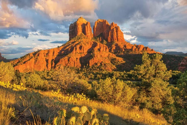 Arizona: Cathedral Rock, Coconino National Forest, Arizona by Tim Fitzharris