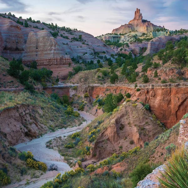 Cliffs: Church Rock, Red Rock State Park, New Mexico by Tim Fitzharris