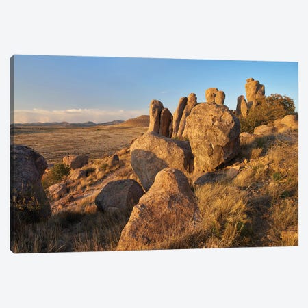 City Of Rocks State Park, New Mexico Canvas Print #TFI1284} by Tim Fitzharris Canvas Art