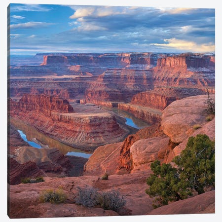 Colorado River From Deadhorse Point, Canyonlands National Park, Utah Canvas Print #TFI1293} by Tim Fitzharris Canvas Wall Art