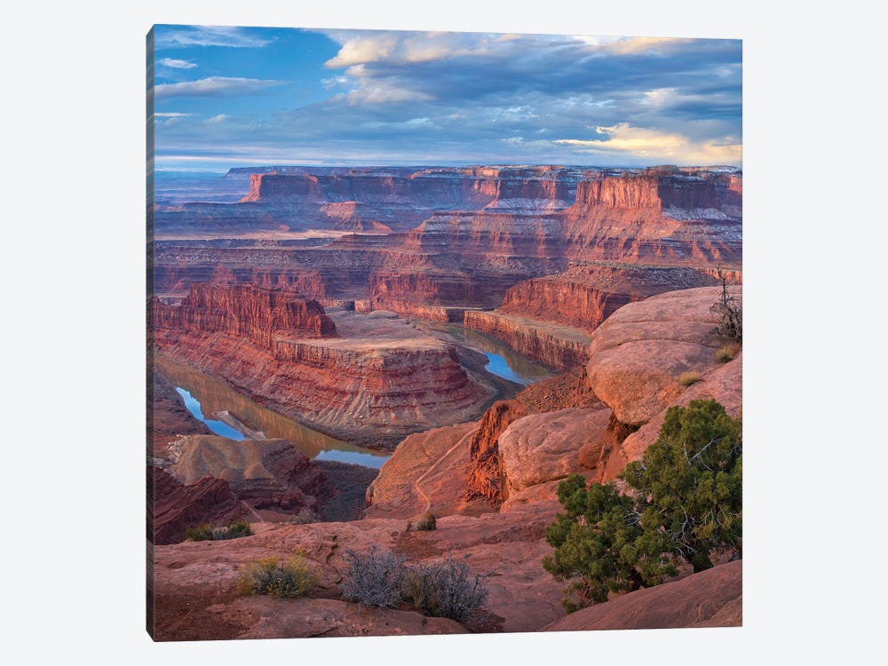Colorado River From Deadhorse Point, Canyonlands National Park, Utah by Tim Fitzharris 1-piece Canvas Wall Art