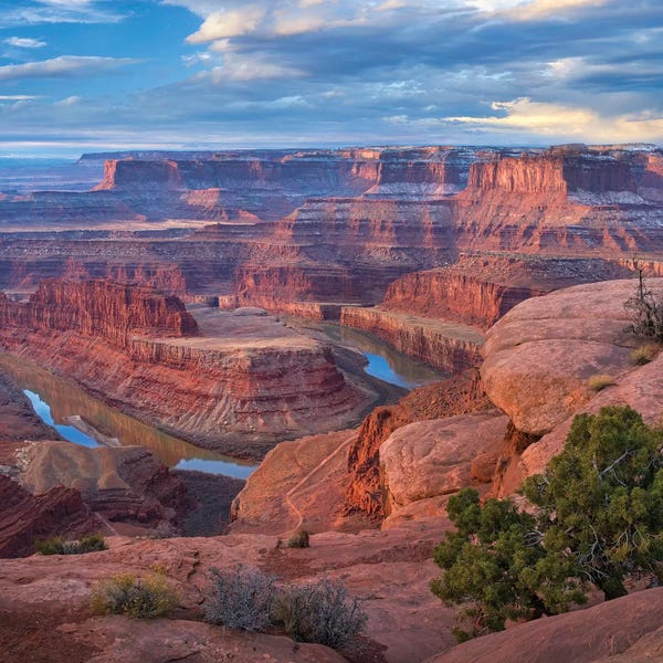 Canyons: Colorado River From Deadhorse Point, Canyonlands National Park, Utah by Tim Fitzharris
