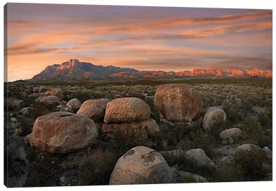 Boulders At Guadalupe Mountains National Park, Texas Canvas Art Print - Mountains Scenic Photography