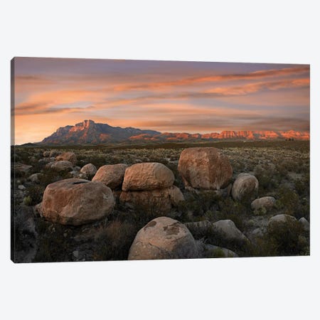 Boulders At Guadalupe Mountains National Park, Texas Canvas Print #TFI129} by Tim Fitzharris Canvas Print