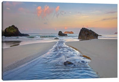 Creek Flowing Into Ocean, Playa Espadilla Sur, Manuel Antonio Np, Costa Rica Canvas Art Print - Rocky Beach Art
