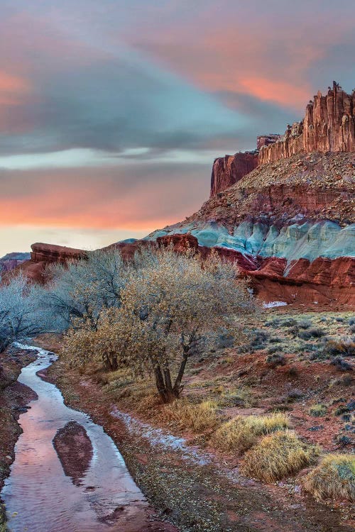 Creek, Castle Mountain, Capitol Reef National Park, Utah by Tim Fitzharris wall art