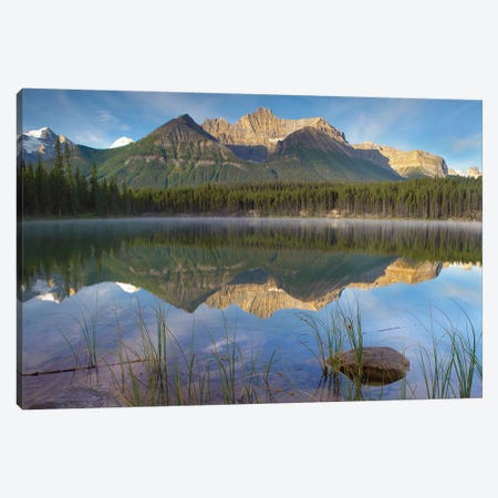 Bow Range And Boreal Forest Reflected In Herbert Lake, Banff National Park, Alberta, Canada Canvas Print #TFI130} by Tim Fitzharris Canvas Wall Art