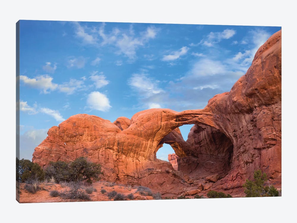 Double Arch, Arches National Park, Utah by Tim Fitzharris 1-piece Canvas Art Print