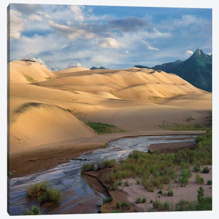 Dunes And River, Great Sand Dunes National Park, Colorado Canvas Print #TFI1313} by Tim Fitzharris Canvas Art Print