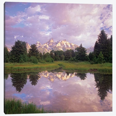 Grand Teton Reflection, Grand Teton National Park, Wyoming Canvas Print #TFI1323} by Tim Fitzharris Canvas Wall Art