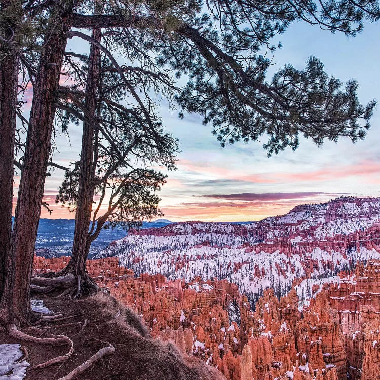 Hoodoos In Winter, Bryce Canyon National Park, Utah