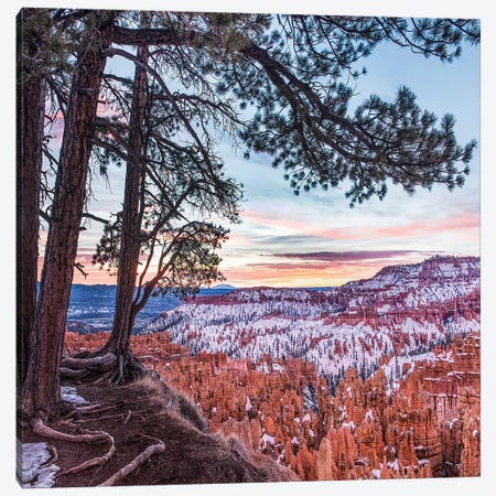 Hoodoos In Winter, Bryce Canyon National Park, Utah Canvas Print #TFI1339} by Tim Fitzharris Canvas Art Print