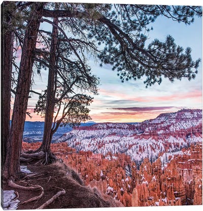Hoodoos In Winter, Bryce Canyon National Park, Utah Canvas Art Print - Bryce Canyon National Park Art