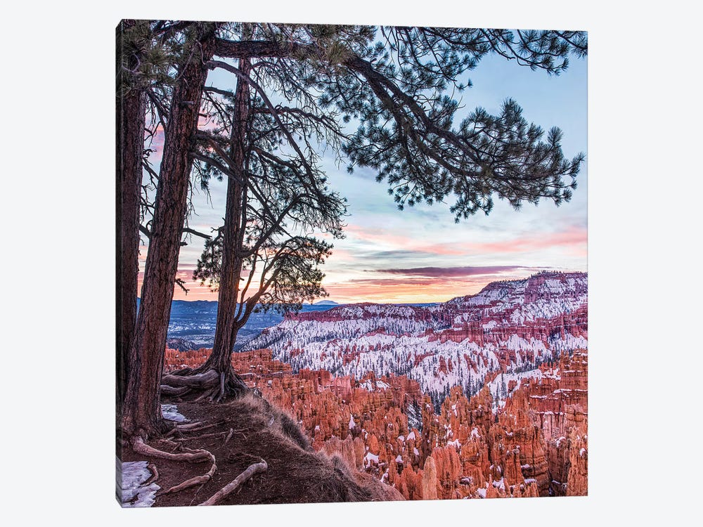 Hoodoos In Winter, Bryce Canyon National Park, Utah by Tim Fitzharris 1-piece Canvas Print