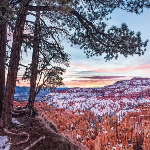 Bryce Canyon National Park: Hoodoos In Winter, Bryce Canyon National Park, Utah by Tim Fitzharris