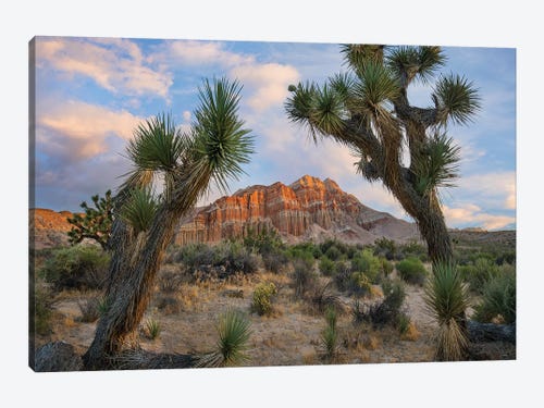 'Red Rock Canyon Landscape' Photographic Print Multi-Piece Image on Canvas 