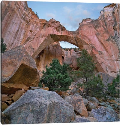 La Ventana Arch, El Malpais Nm, New Mexico Canvas Art Print - Rock Art