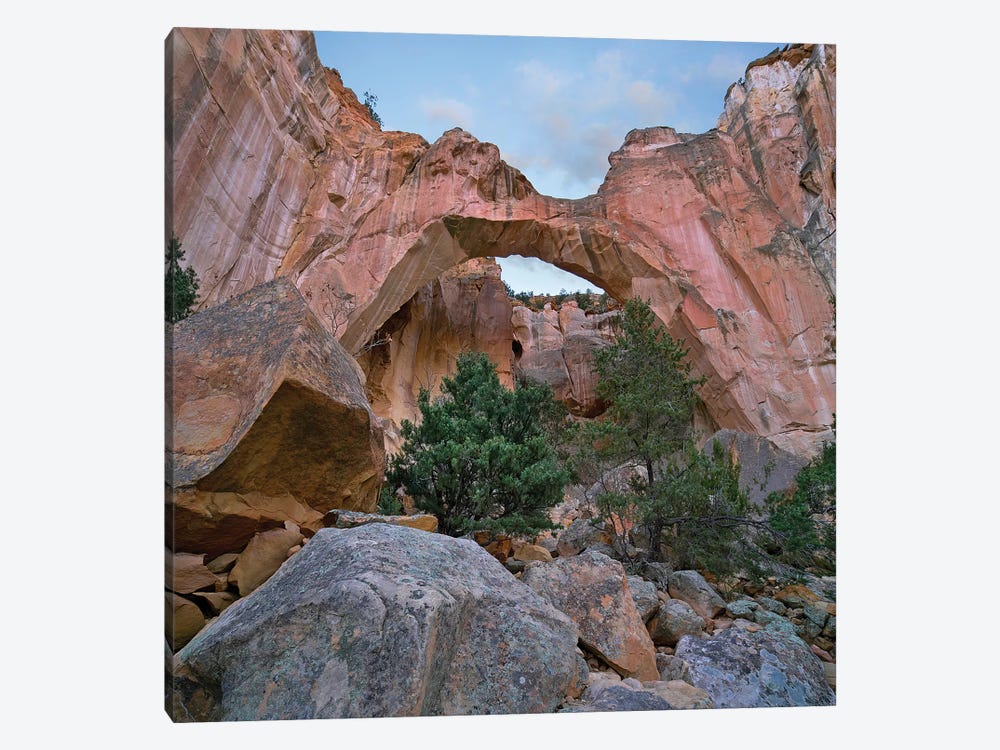 La Ventana Arch, El Malpais Nm, New Mexico by Tim Fitzharris 1-piece Canvas Print