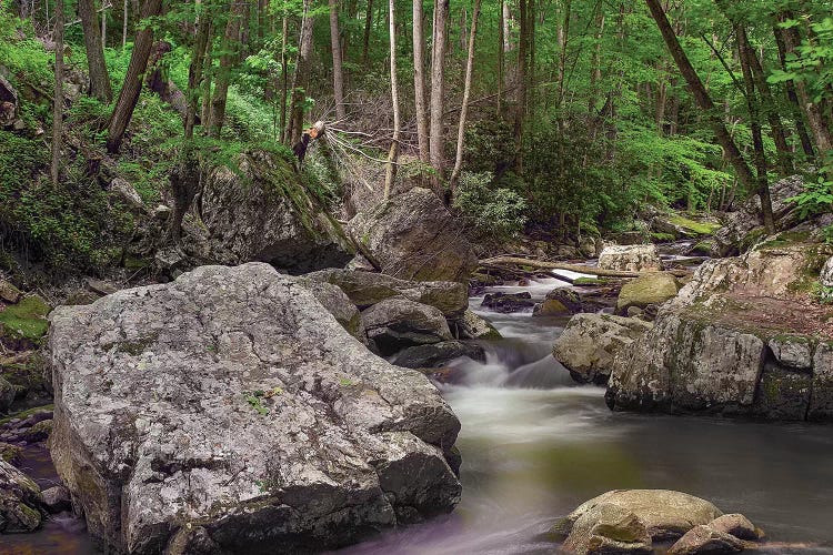 Little Stony Creek, Jefferson Nf, Virginia