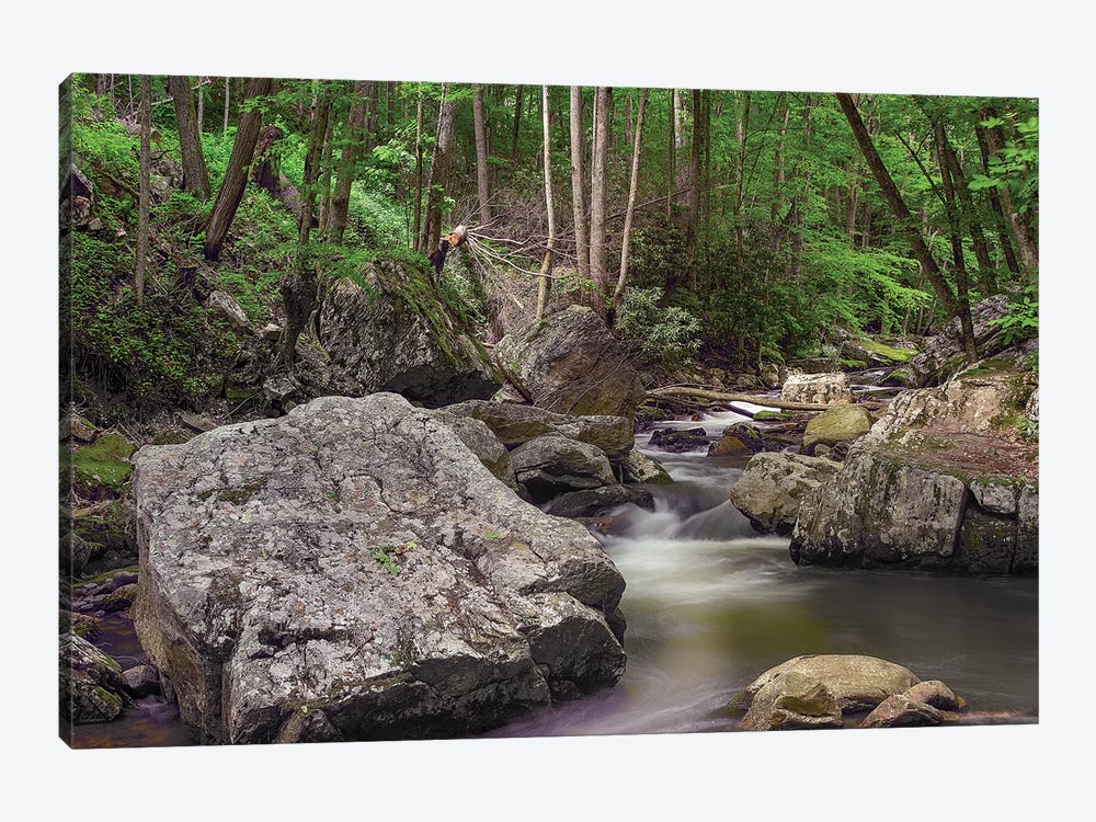 Little Stony Creek, Jefferson Nf, Virginia by Tim Fitzharris 1-piece Canvas Art