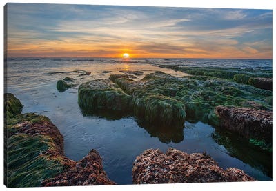Low Tide Sunset Over Intertidal Zone, La Jolla Cove, San Diego, California Canvas Art Print - Rocky Beach Art